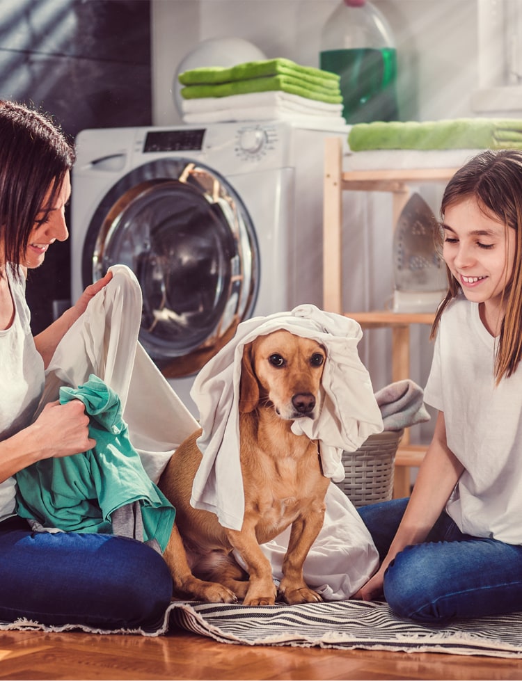 mother and child folding laundry with dog